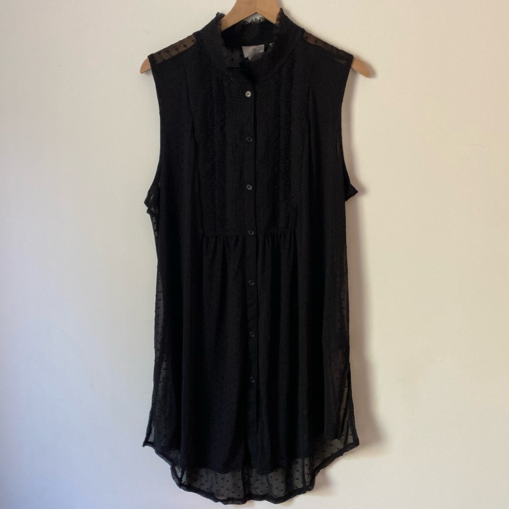 Sheer Swiss dot button down mesh top XL